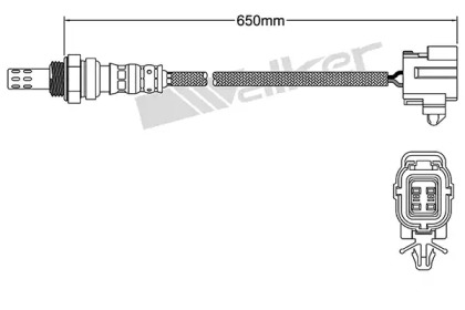 walker products 25024139