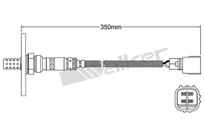 walker products 25024151