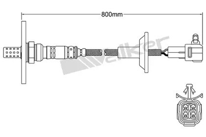 walker products 25024152