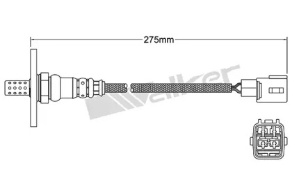 walker products 25024157