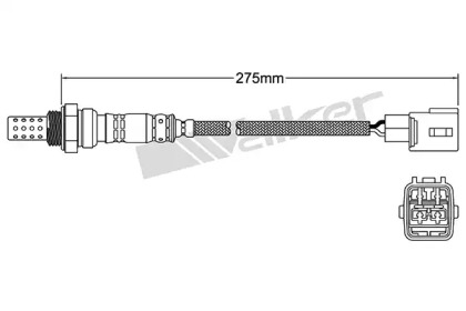 walker products 25024169