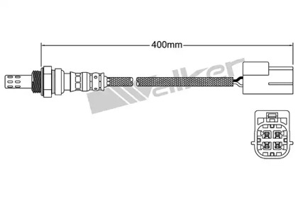 WALKER PRODUCTS 250-24181