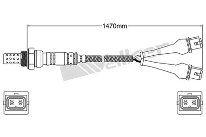 WALKER PRODUCTS 250-24184