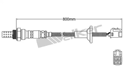 walker products 25024188