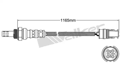 walker products 25024198