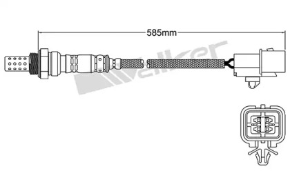 walker products 25024239