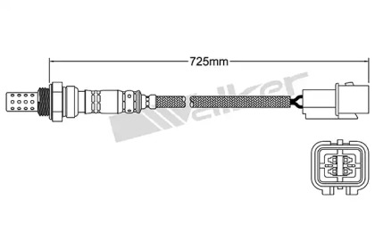 walker products 25024240