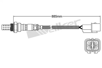 walker products 25024241