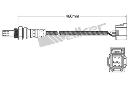 walker products 25024251