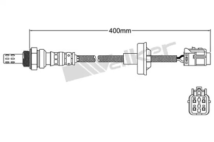 walker products 25024289