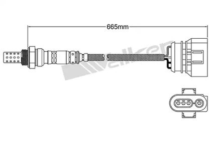 walker products 25024307