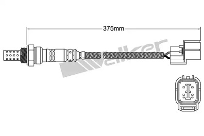 walker products 25024308