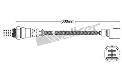 WALKER PRODUCTS 250-24331