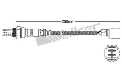 WALKER PRODUCTS 250-24344