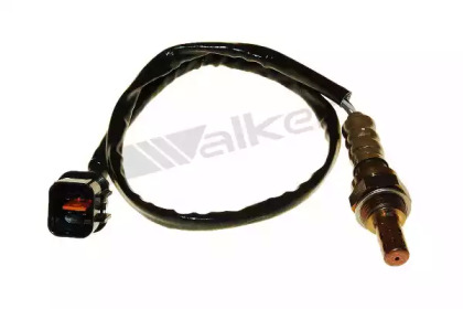 WALKER PRODUCTS 250-24368