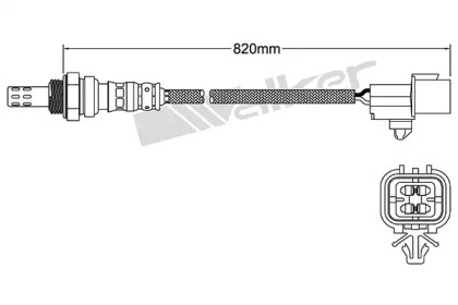 walker products 25024383