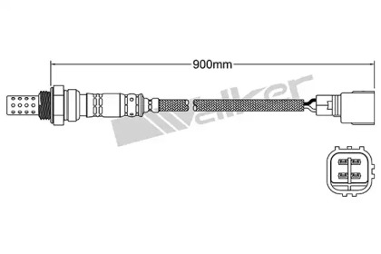 walker products 25024404