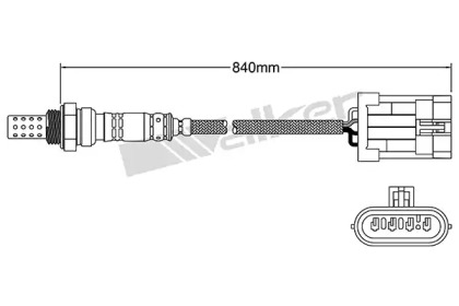 walker products 25024406