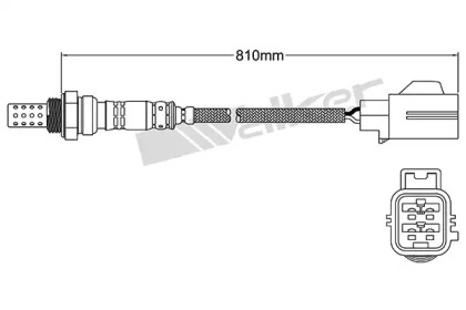 walker products 25024408