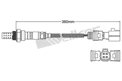 walker products 25024420