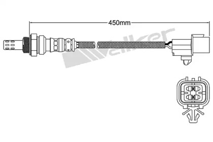 walker products 25024422