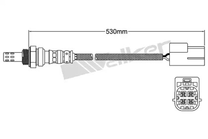 walker products 25024450