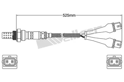 WALKER PRODUCTS 250-24545