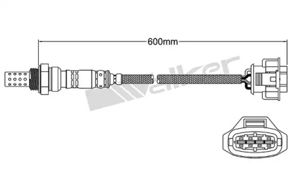 WALKER PRODUCTS 250-24571