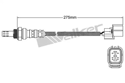 walker products 25024602