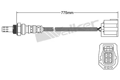 walker products 25024718