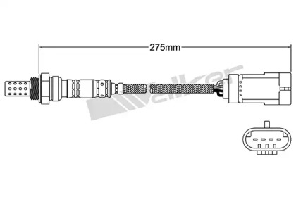 WALKER PRODUCTS 250-24781