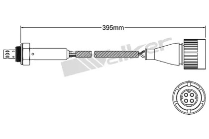 WALKER PRODUCTS 250-24801