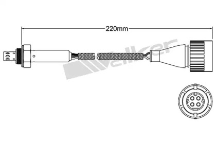 WALKER PRODUCTS 250-24809