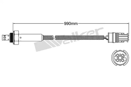 walker products 25024810