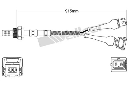 walker products 25024820