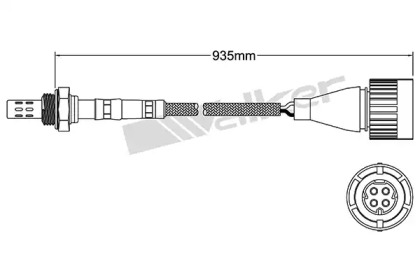 WALKER PRODUCTS 250-24824