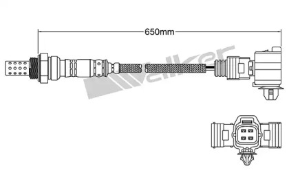 walker products 25024837