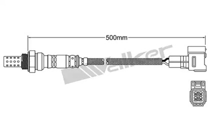 WALKER PRODUCTS 250-24862