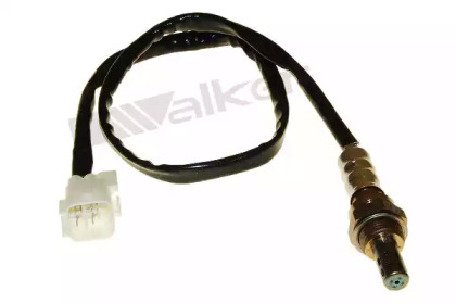 walker products 25024878