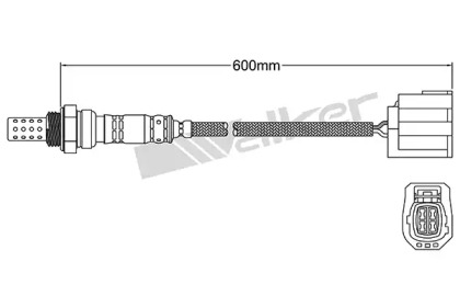 WALKER PRODUCTS 250-24904