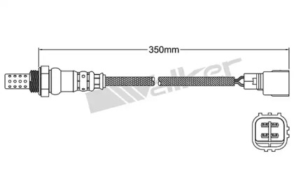 walker products 25024906