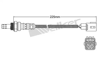 WALKER PRODUCTS 250-24927