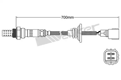 WALKER PRODUCTS 250-24938