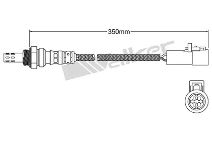 WALKER PRODUCTS 250-24939