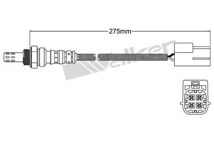 walker products 25024951