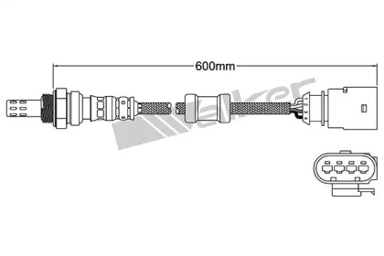 walker products 25024953