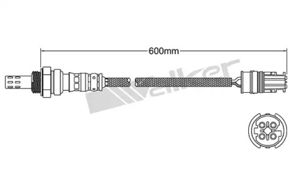 WALKER PRODUCTS 250-24970