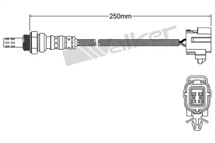 WALKER PRODUCTS 250-24978