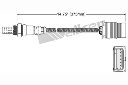 WALKER PRODUCTS 250-24997