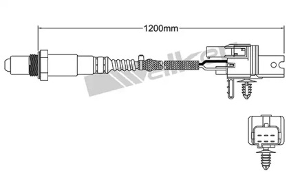 walker products 25025006